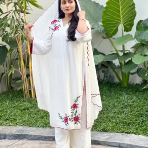 Partywear Embroidery Salwar Set